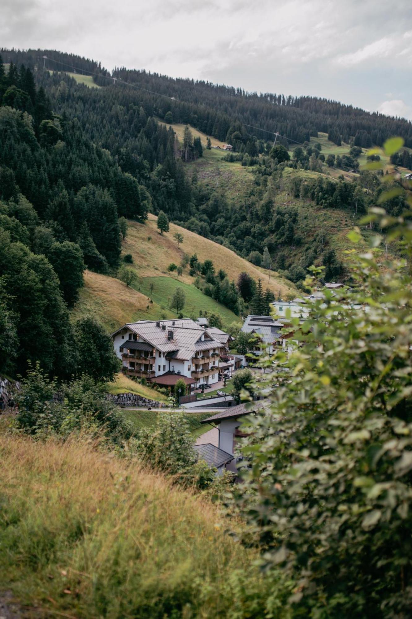 Almhof Alpin Apartments & Spa Dienten am Hochkönig Eksteriør billede